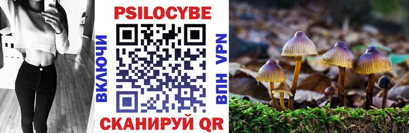 Псилоцибиновые грибы MAGIC MUSHROOMS  сколько стоит  hydra ссылки  Балтийск 
